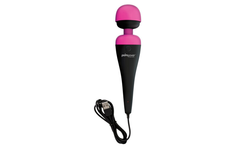 PalmPower Massage Wand Plug and Play USB