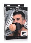 Welcome to the Master Series BDSM Mens Lingerie Brand